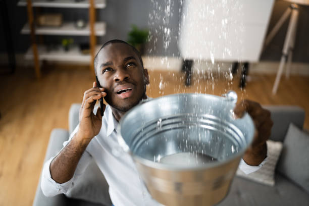 Best Flooded house restoration  in New Brighton, MN