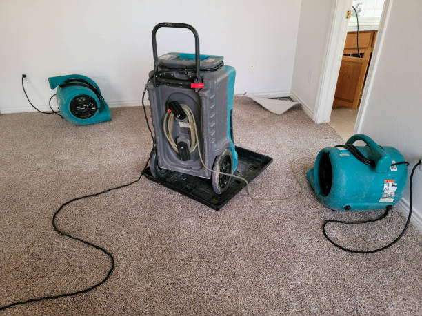 Best Carpet water damage restoration  in New Brighton, MN