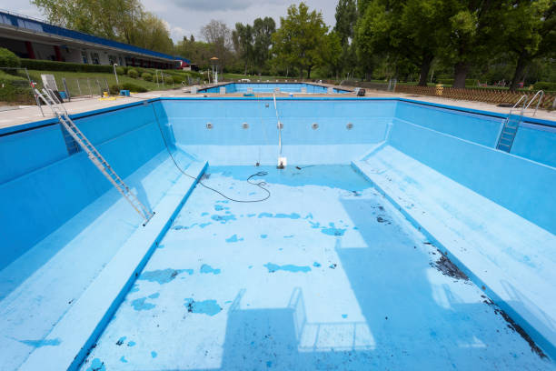 Best Water damage restoration near me  in New Brighton, MN