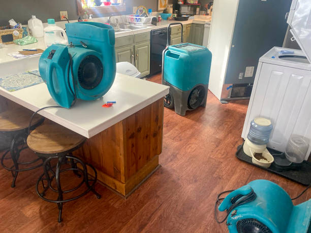 Best Emergency water damage restoration  in New Brighton, MN
