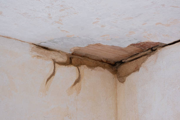 Best Professional water damage repair  in New Brighton, MN
