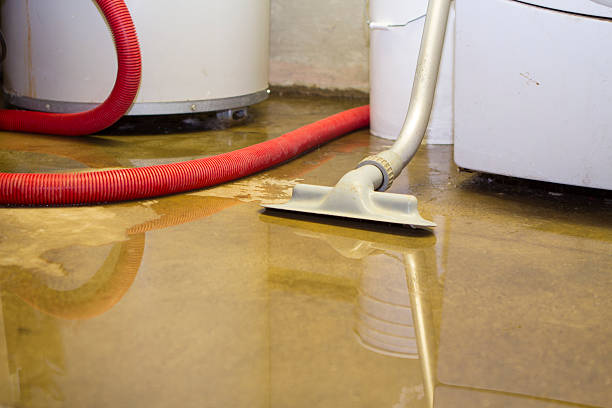 Best Professional water damage repair  in New Brighton, MN