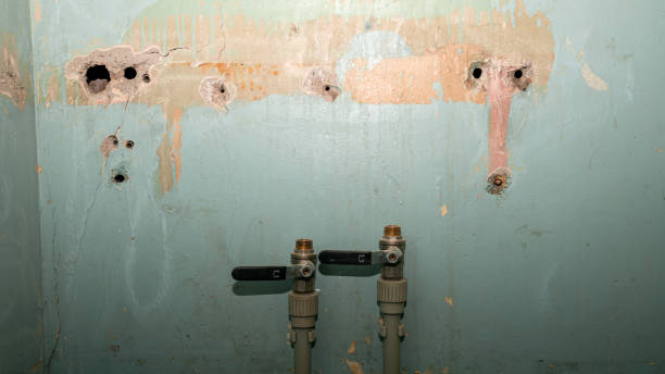 Best Fire Damage Restoration  in New Brighton, MN
