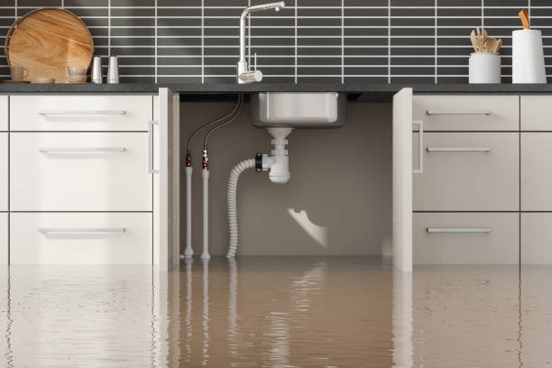 Best Flood restoration services  in New Brighton, MN