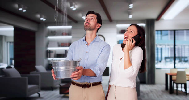Best Basement water damage restoration  in New Brighton, MN