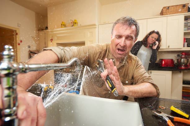 Best Water damage cleanup near me  in New Brighton, MN